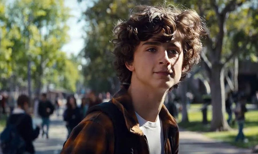 Timothée Chalamet é um viciado em metanfetamina no trailer de “Beautiful Boy”