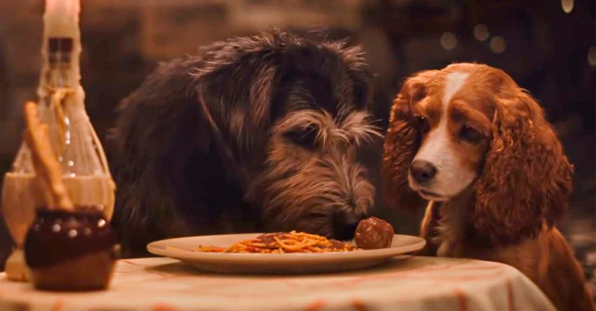 Cena clássica de “A Dama e o Vagabundo” é recriada em novo trailer; assista!