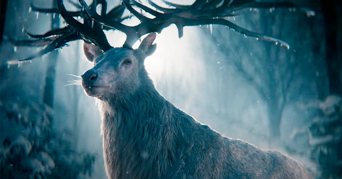 Netflix divulga teaser trailer misterioso da série “Sombra e Ossos”