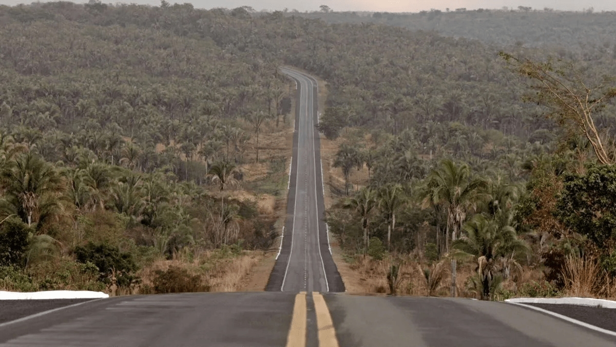“Transamazônica – Uma Estrada Para O Passado”, da HBO, vence o Grande Prêmio do Cinema Brasileiro; veja!
