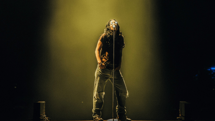 Lorde leva um espetáculo visceral, libertador e cheio de significado ao Lollapalooza Brasil 2026