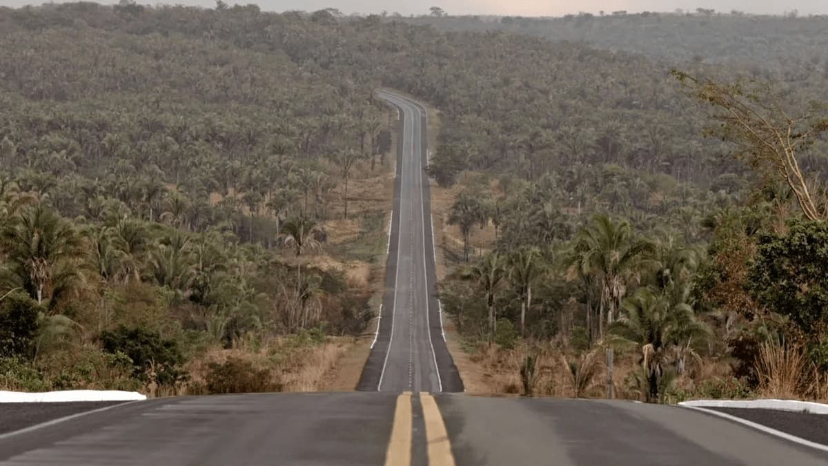 “Transamazônica – Uma Estrada Para O Passado”, da HBO, vence o Grande Prêmio do Cinema Brasileiro; veja!