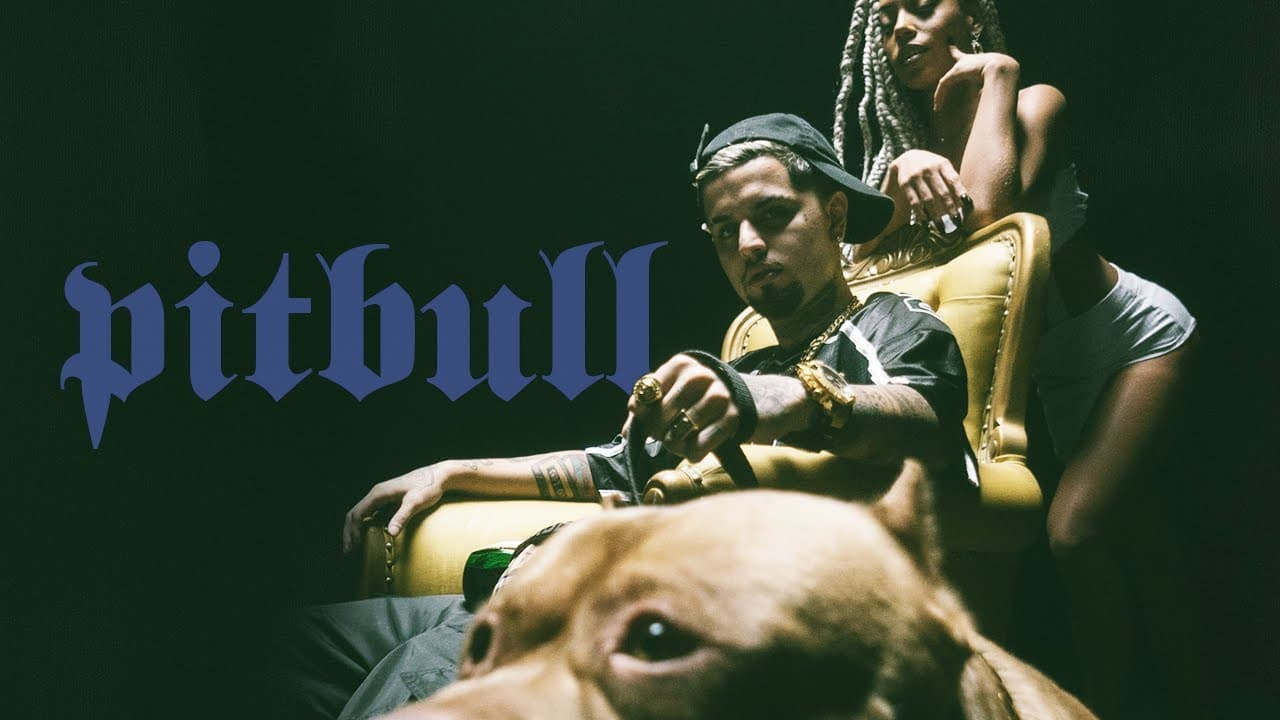 Maquiny ft. Azevedo, BIN - PITBULL (prod. Ajaxx)