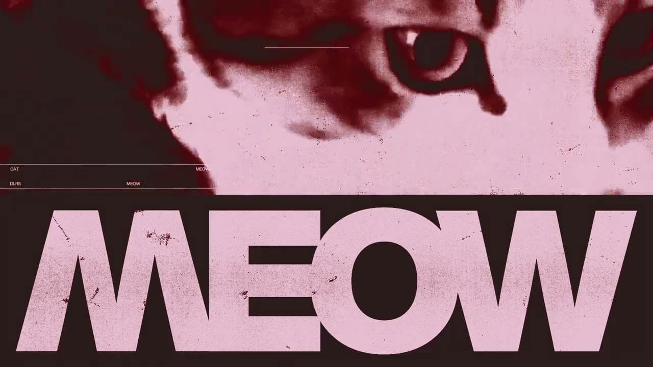 Cat Dealers - MEOW
