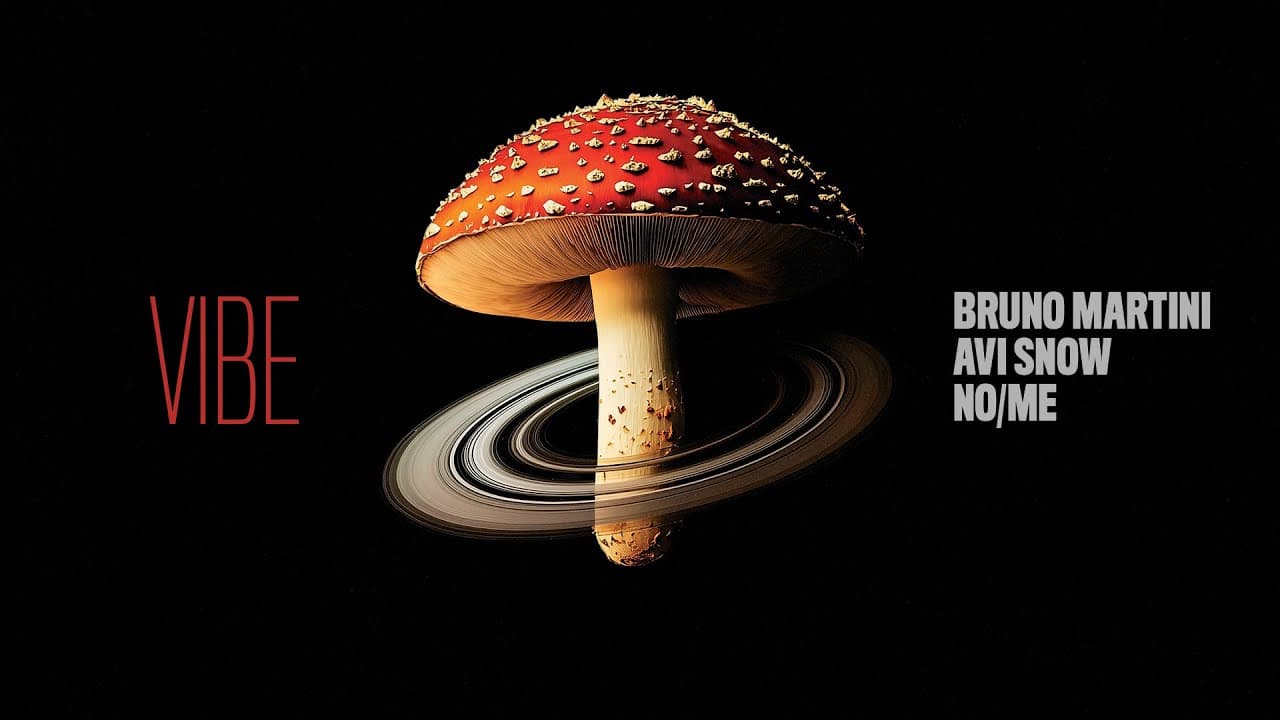 Bruno Martini, Avi Snow & No/Me - Vibe (Lyric Video)