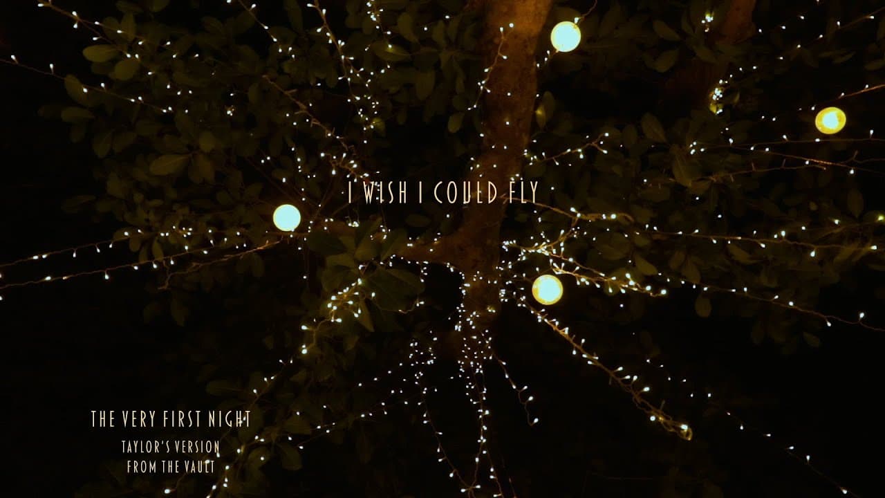 Taylor Swift - The Very First Night (Taylor's Version) (From The Vault) (Lyric Video)