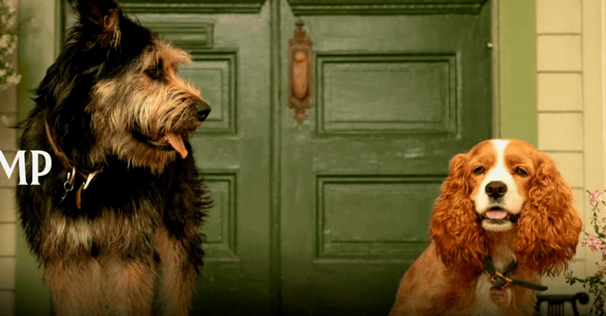 Live-action de “A Dama e o Vagabundo” ganha primeira imagem oficial