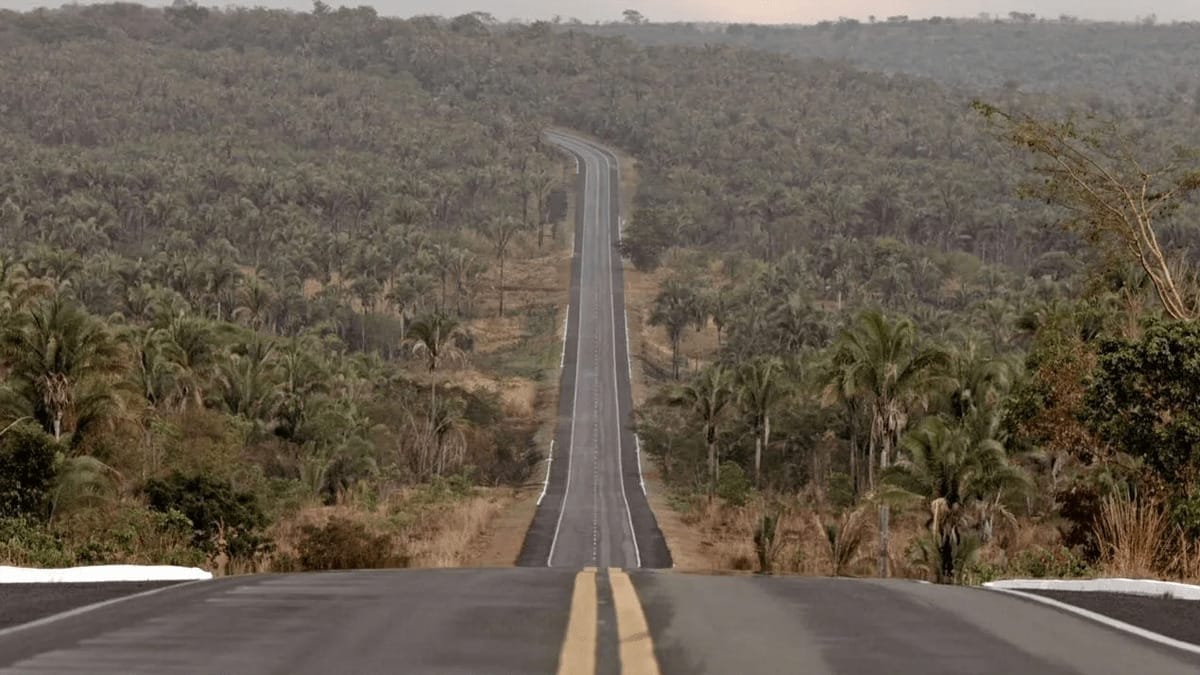 “Transamazônica – Uma Estrada Para O Passado”, da HBO, vence o Grande Prêmio do Cinema Brasileiro; veja!
